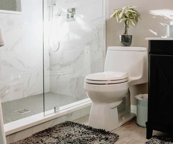 Toilet Repairs & Replacement.